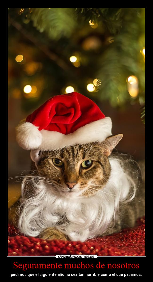 carteles vida ltsc lrssg alex vazquez999 victoryanddeath victory and death desmonavidad2020 desmotivaciones