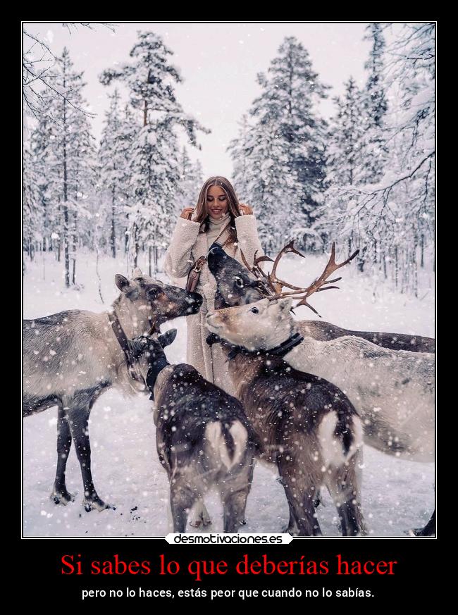 Si sabes lo que deberías hacer - pero no lo haces, estás peor que cuando no lo sabías.