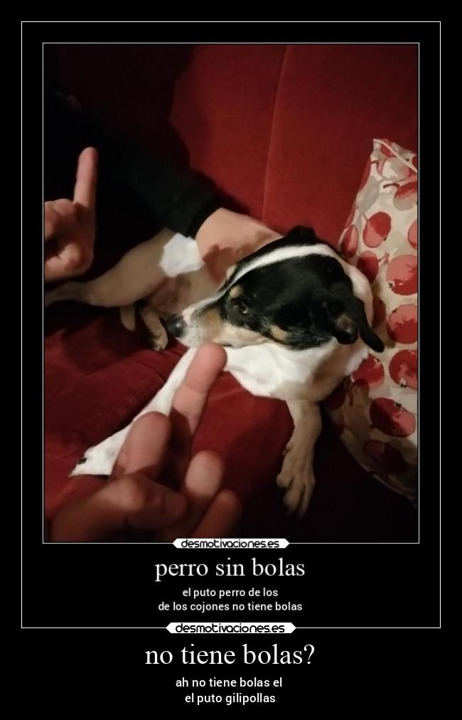 carteles abrazos chiste desmotivaciones