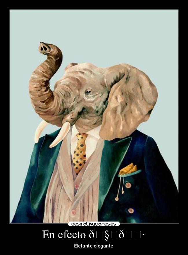 En efecto 🧐🍷 - Elefante elegante