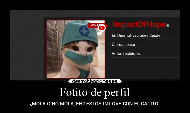 Fotito de perfil - ¿MOLA O NO MOLA, EH? ESTOY IN LOVE CON EL GATITO.