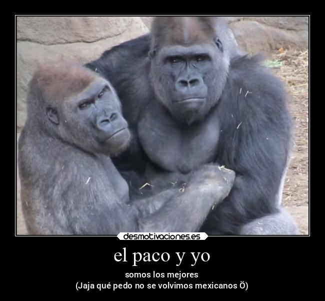 el paco y yo - somos los mejores
(Jaja qué pedo no se volvimos mexicanos Ö)