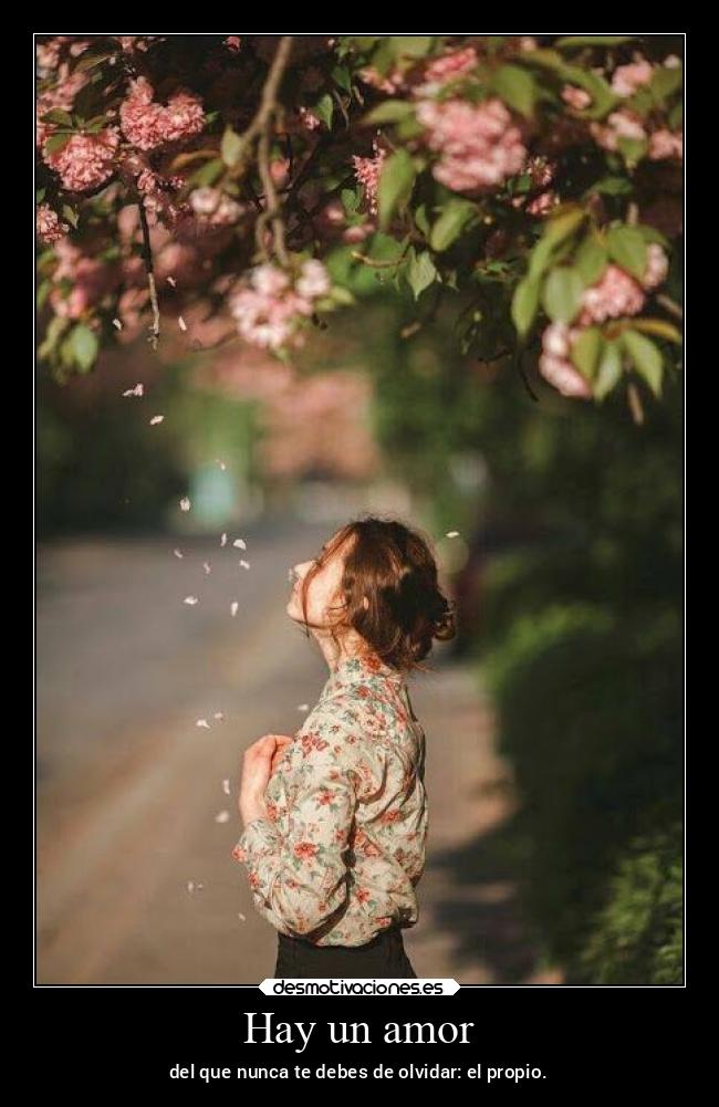 carteles amor confianza desmoasesino teamdelasesino desmotivaciones