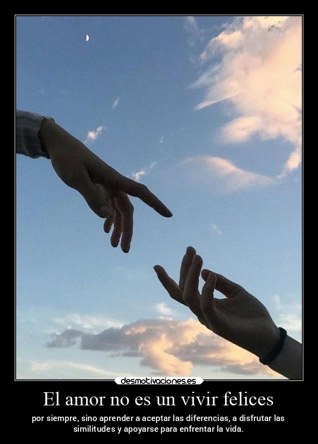 carteles amor amor confianza vida desmoasesino teamdelasesino desmotivaciones