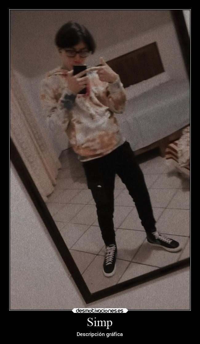 Simp - Descripción gráfica