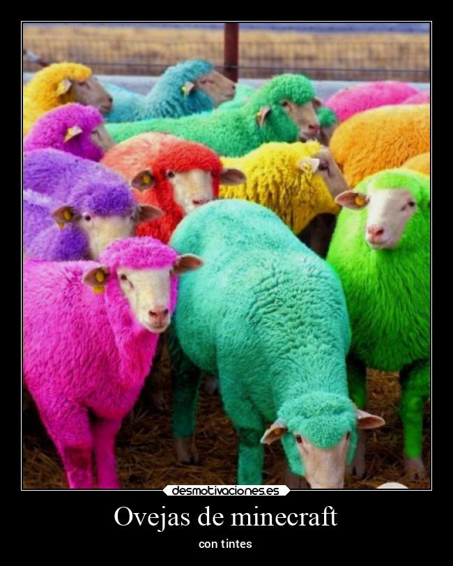 carteles animales colores desmotivaciones