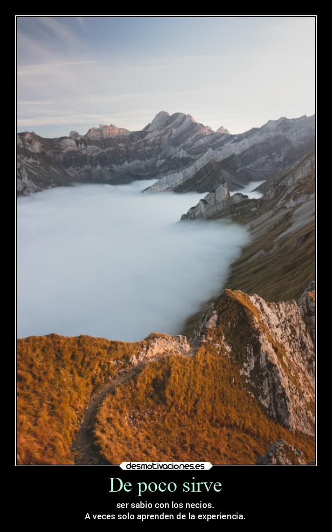 De poco sirve - ser sabio con los necios.
A veces solo aprenden de la experiencia.