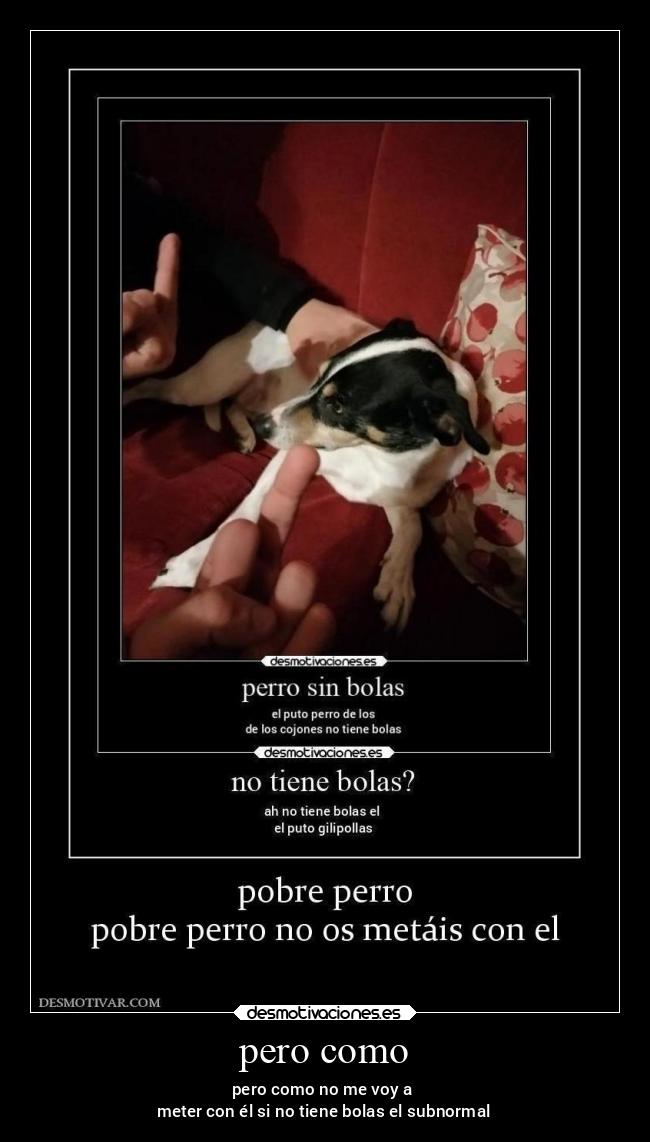 carteles chiste desmotivaciones