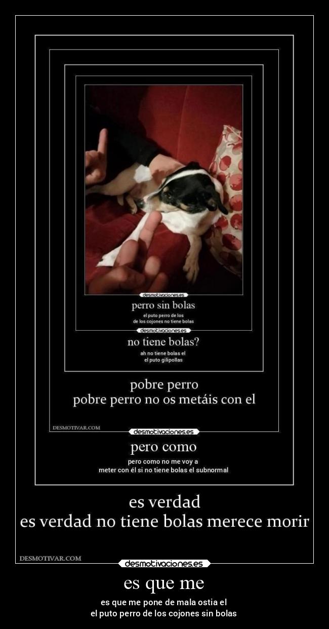 carteles chiste desmotivaciones