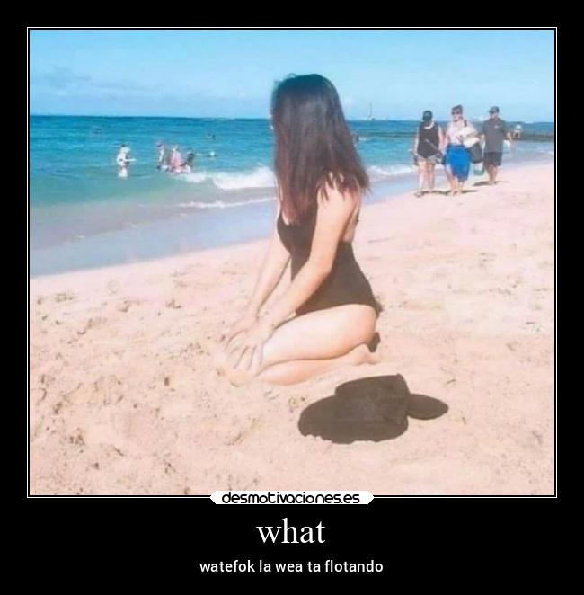 carteles chiste desmotivaciones