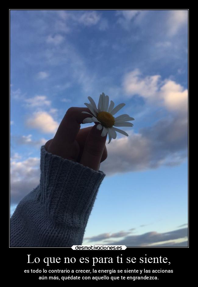 Lo que no es para ti se siente, - 