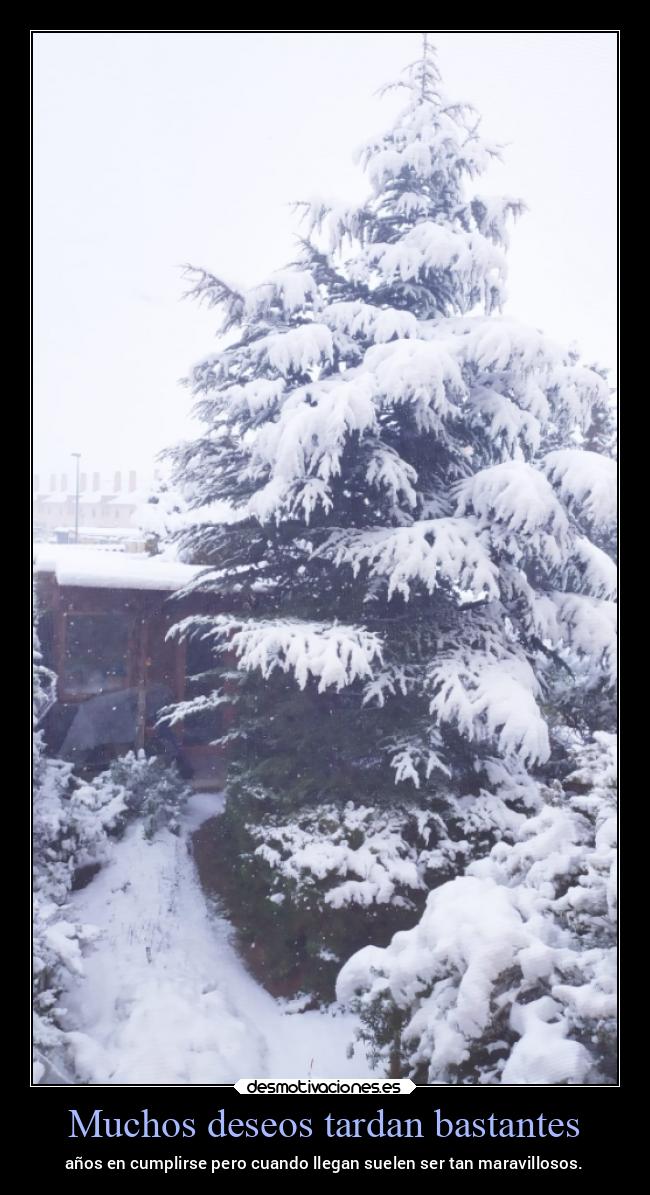 Muchos deseos tardan bastantes - años en cumplirse pero cuando llegan suelen ser tan maravillosos.