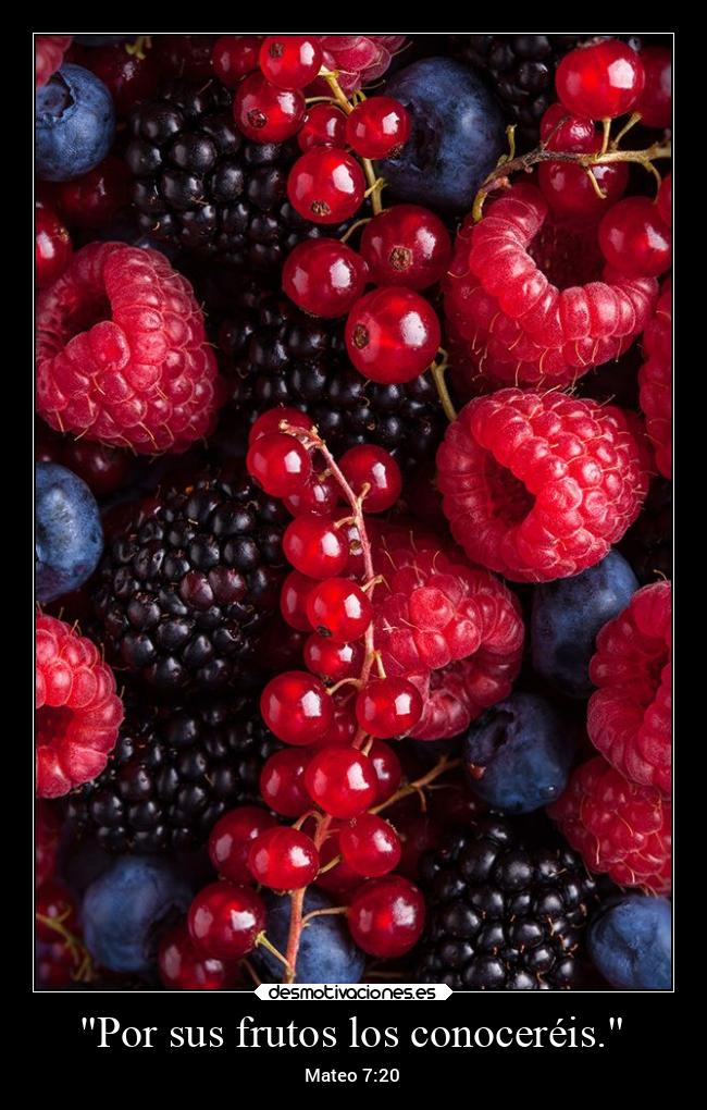 Por sus frutos los conoceréis. - Mateo 7:20