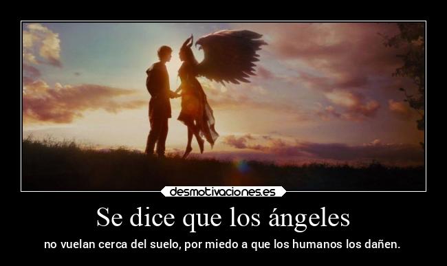 Se dice que los ángeles - no vuelan cerca del suelo, por miedo a que los humanos los dañen.