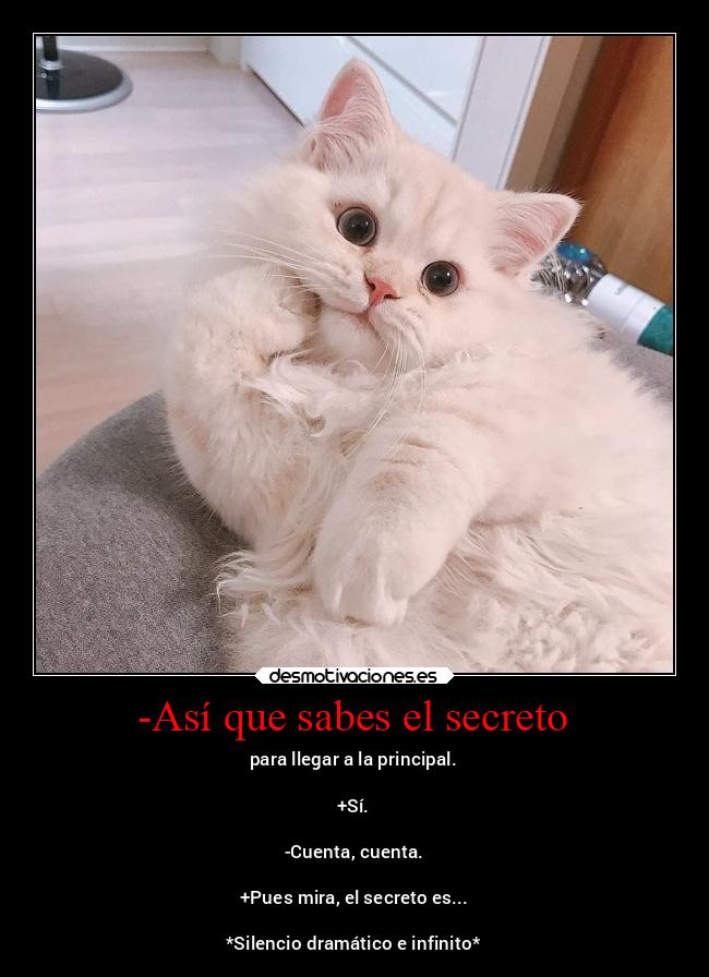 -Así que sabes el secreto - para llegar a la principal.
+Sí.
-Cuenta, cuenta.
+Pues mira, el secreto es...
*Silencio dramático e infinito*