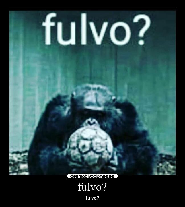 fulvo? - fulvo?