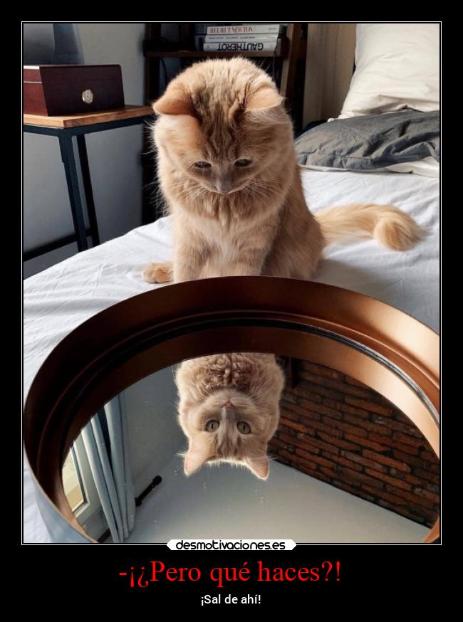 -¡¿Pero qué haces?! - ¡Sal de ahí!