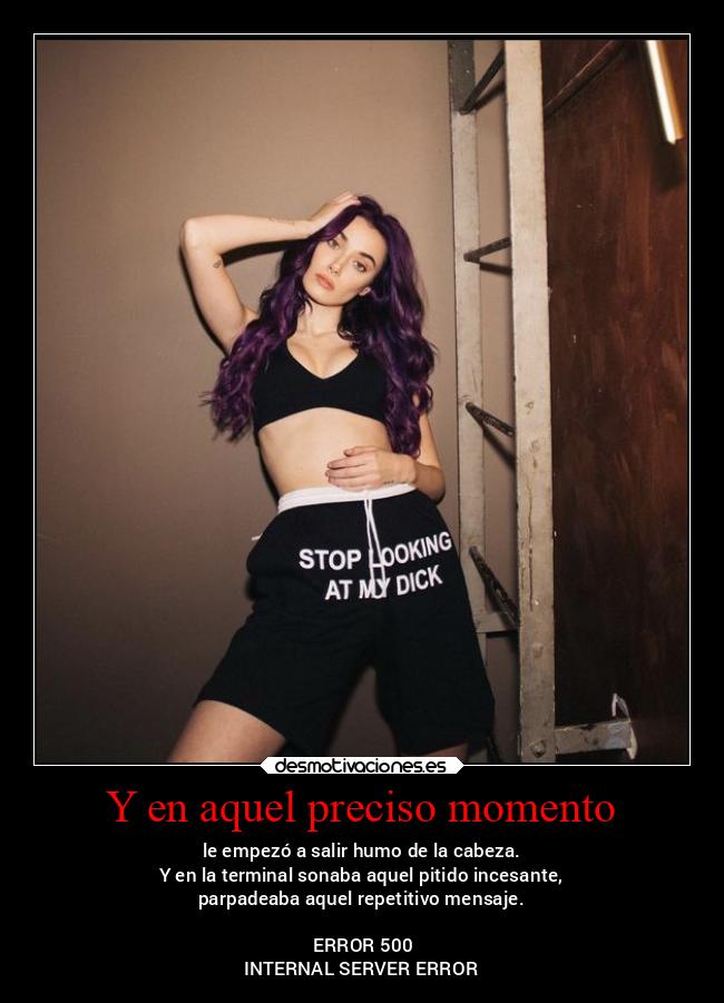 Y en aquel preciso momento - le empezó a salir humo de la cabeza.
Y en la terminal sonaba aquel pitido incesante,
parpadeaba aquel repetitivo mensaje.
ERROR 500
INTERNAL SERVER ERROR