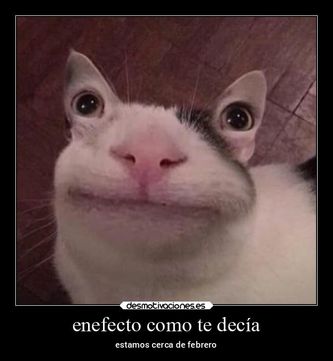 enefecto como te decía - estamos cerca de febrero