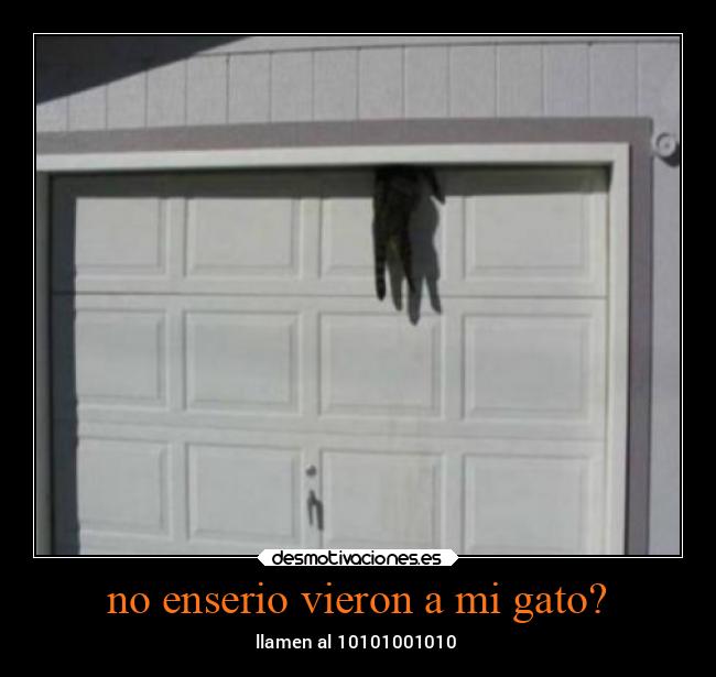 no enserio vieron a mi gato? - llamen al 10101001010