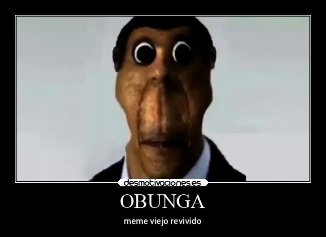 OBUNGA - meme viejo revivido