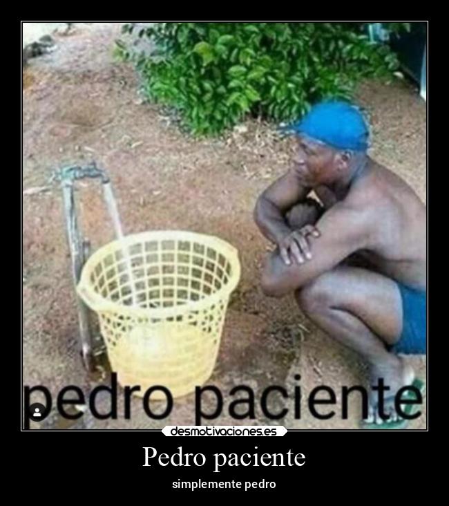 carteles memes desmotivaciones