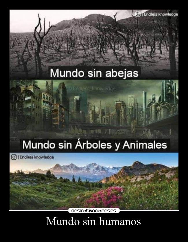 Mundo sin humanos -