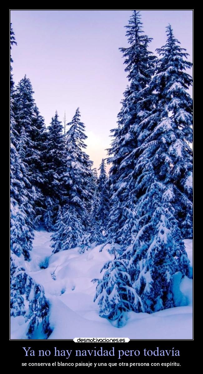 Ya no hay navidad pero todavía - se conserva el blanco paisaje y una que otra persona con espíritu.