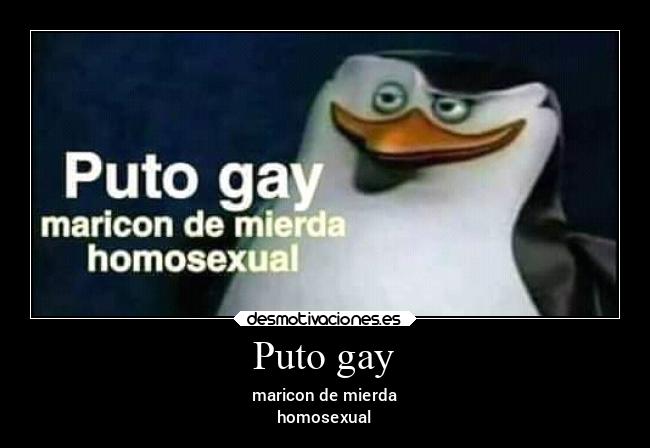 Puto gay -