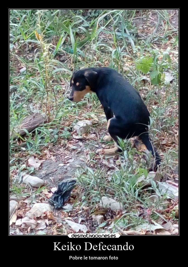 Keiko Defecando - Pobre le tomaron foto