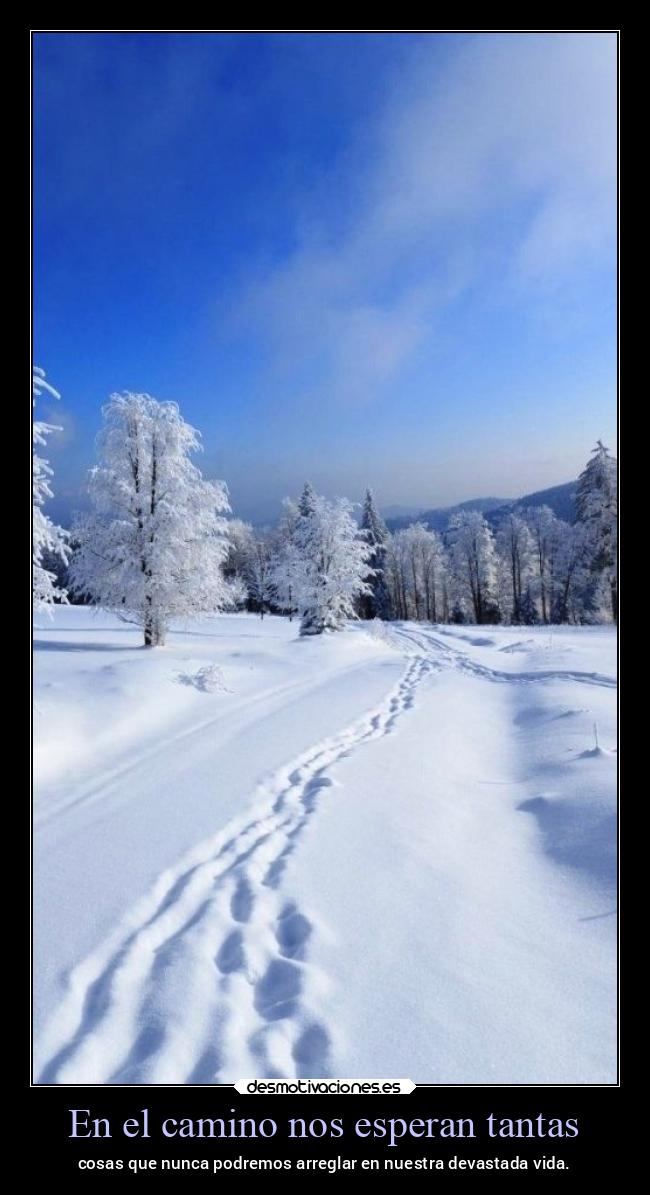 En el camino nos esperan tantas - cosas que nunca podremos arreglar en nuestra devastada vida.