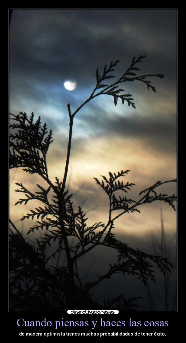 Cuando piensas y haces las cosas - de manera optimista tienes muchas probabilidades de tener éxito.