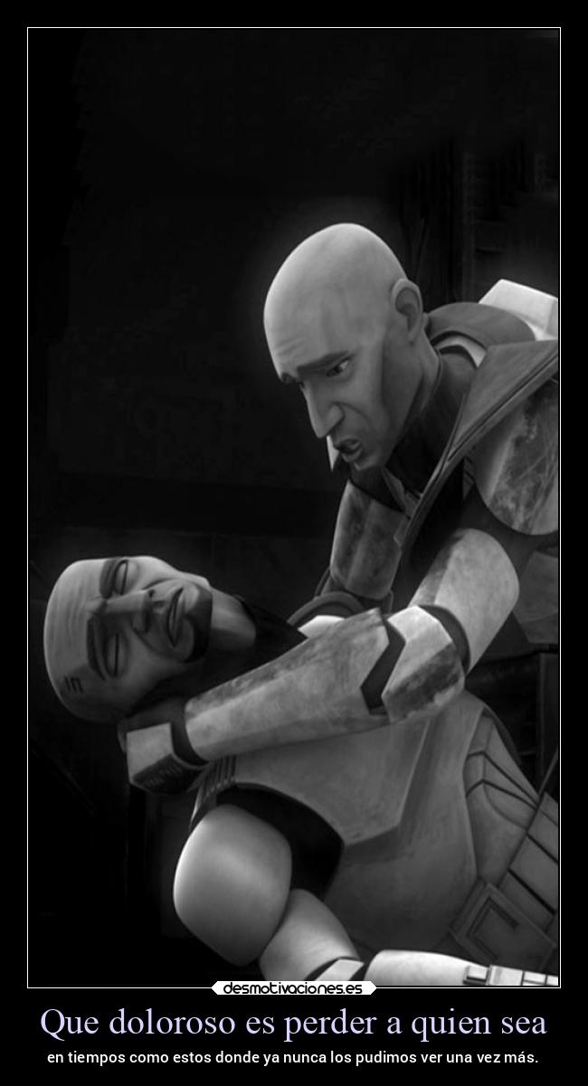 carteles vida ltsc lrssg alex vazquez999 victoryanddeath starwars cincos rex daniela cordova hina5654 covid19 desmotivaciones