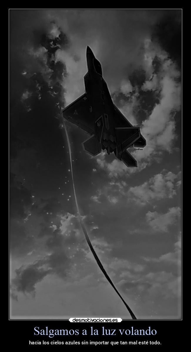 carteles vida ltsc lrssg alex vazquez999 victoryanddeath victory and death ace combat combat7 desmotivaciones