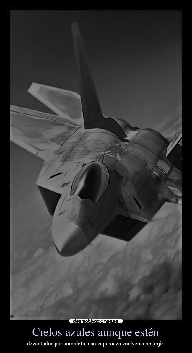 carteles vida ltsc lrssg alex vazquez999 victoryanddeath victory and death ace combat combat7 desmotivaciones