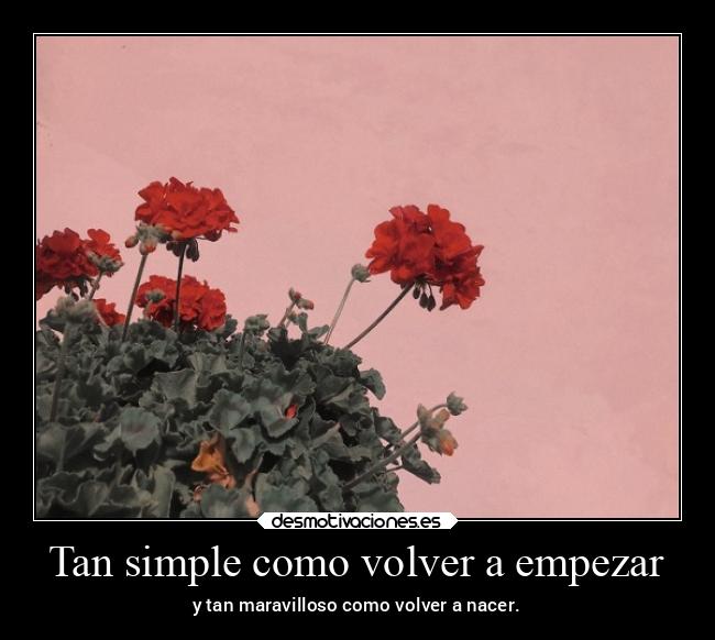 Tan simple como volver a empezar - y tan maravilloso como volver a nacer.