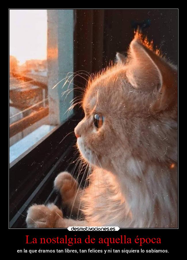 La nostalgia de aquella época - en la que éramos tan libres, tan felices y ni tan siquiera lo sabíamos.