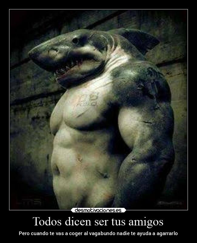 carteles amigos amor desmotivaciones