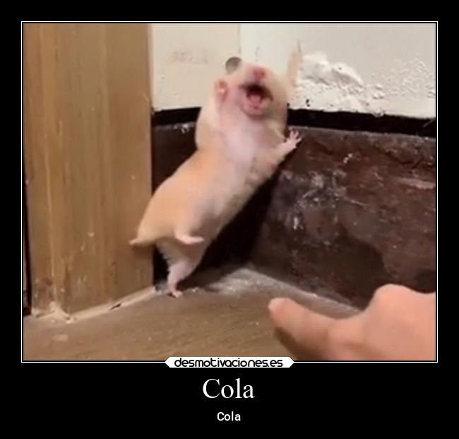 Cola - Cola