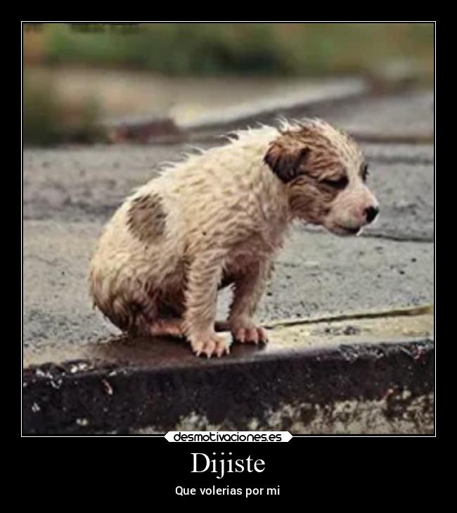 Dijiste - Que volerias por mi