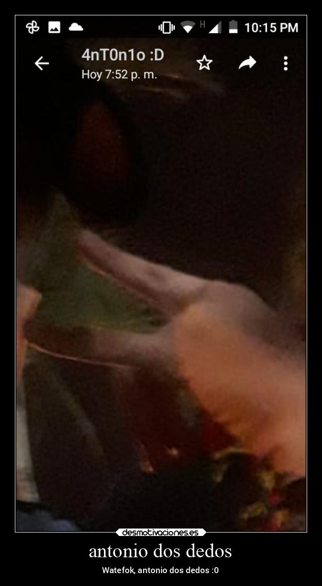 carteles animales desmotivaciones