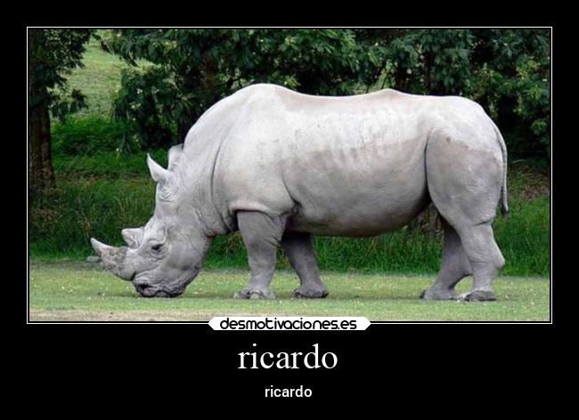 ricardo - ricardo