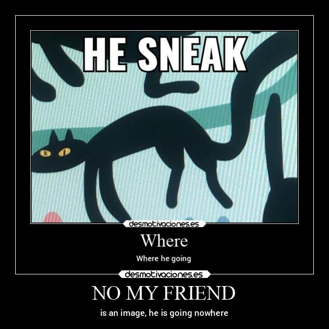 NO MY FRIEND - is an image, he is going nowhere