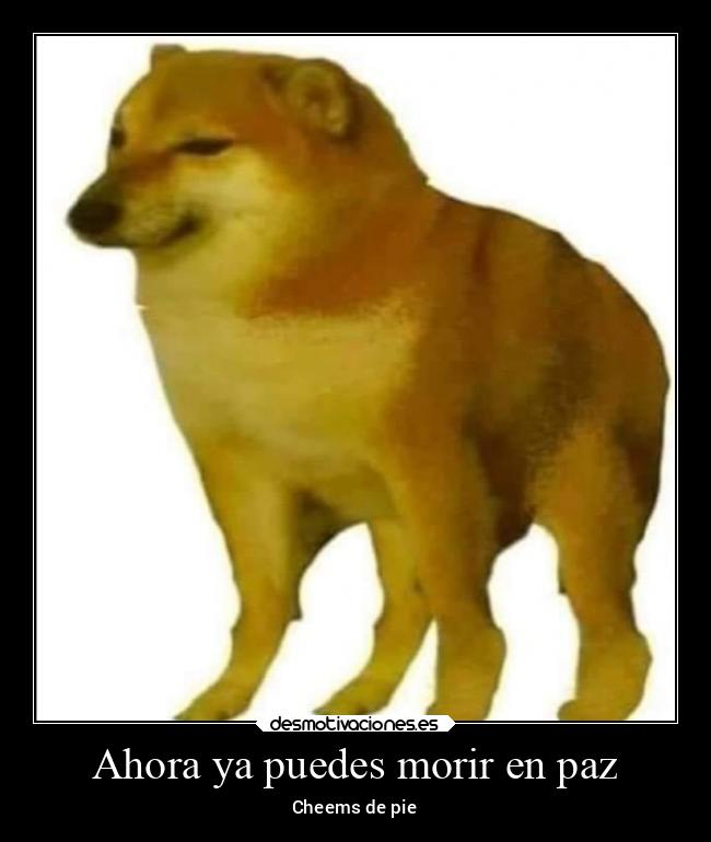 Ahora ya puedes morir en paz - Cheems de pie