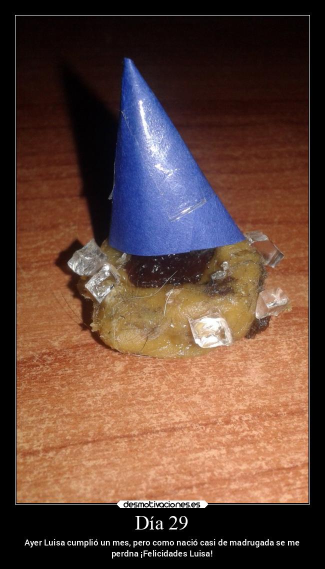 Día 29 - Ayer Luisa cumplió un mes, pero como nació casi de madrugada se me
perdna ¡Felicidades Luisa!
