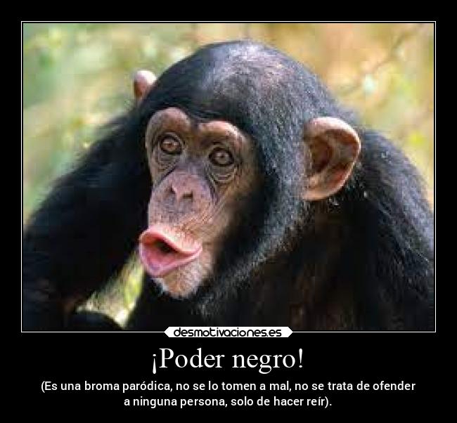 carteles chiste criticas desmotivaciones