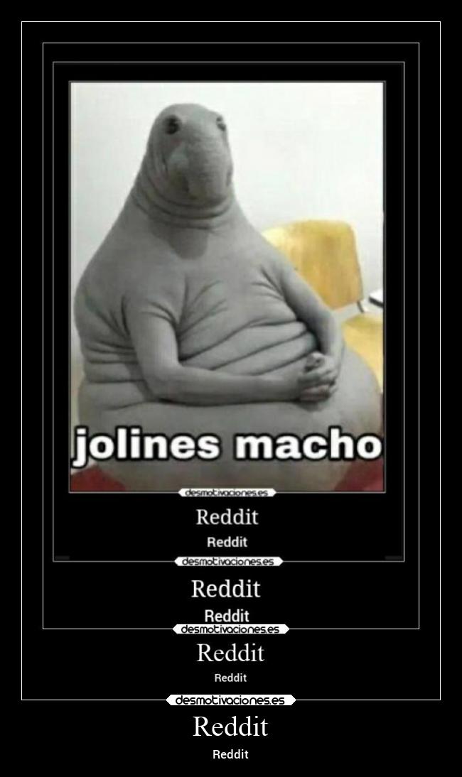 Reddit - Reddit
