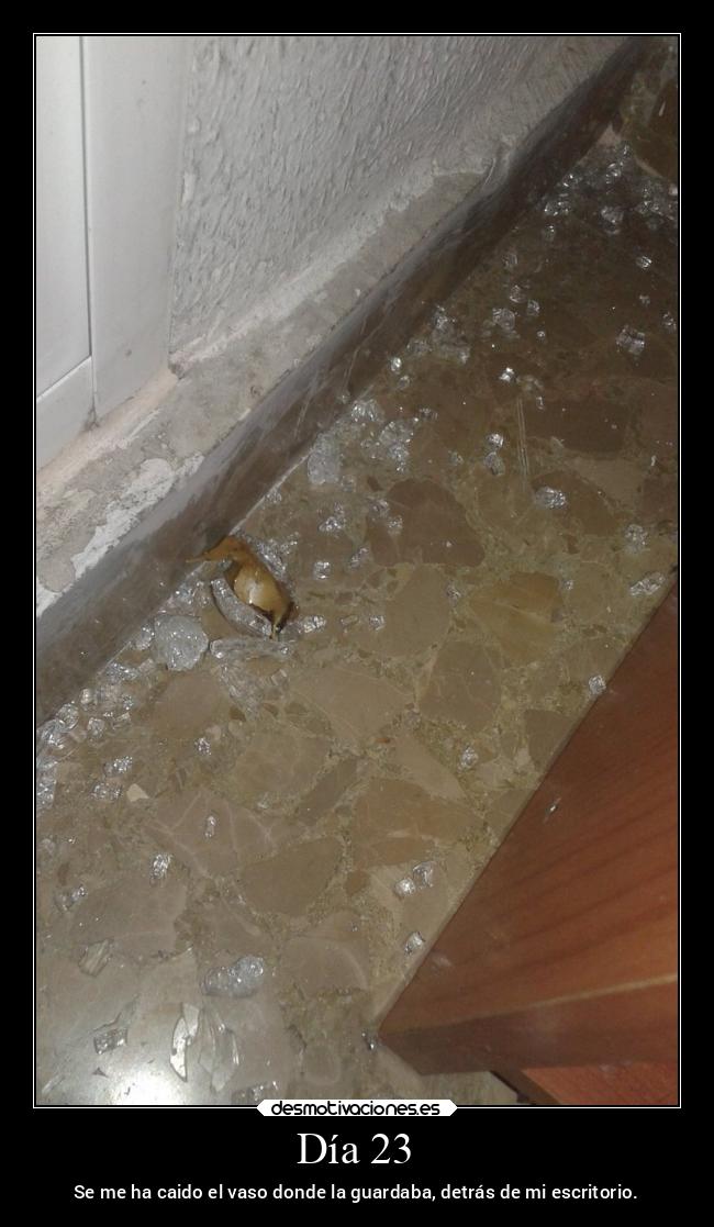 Día 23 - Se me ha caido el vaso donde la guardaba, detrás de mi escritorio.