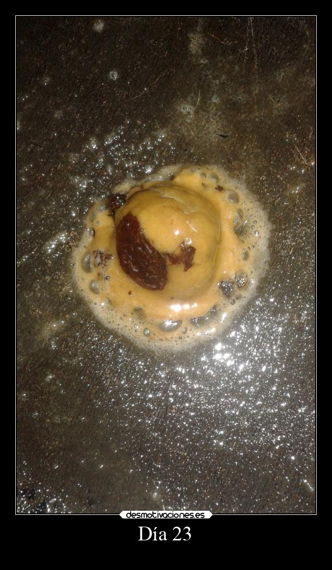 Día 23 - 