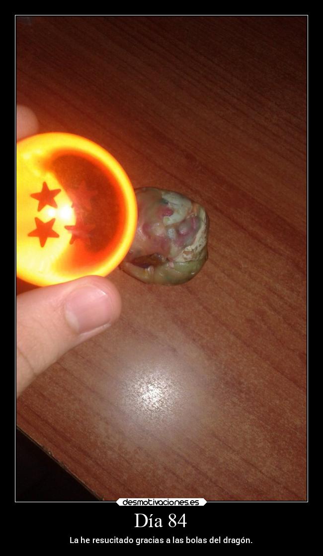 Día 84 - La he resucitado gracias a las bolas del dragón.